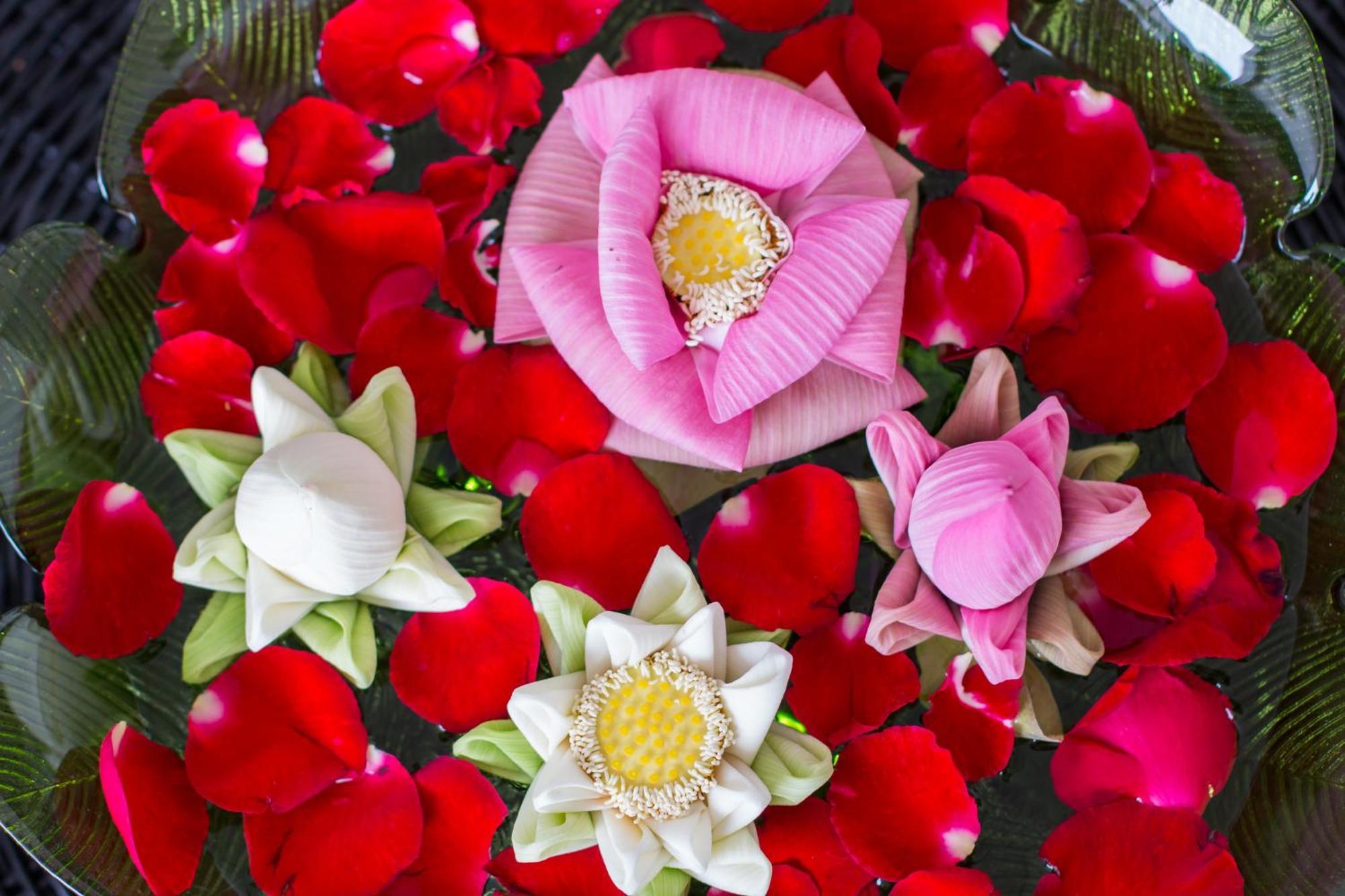 David Boutique & Spa Siem Reap Luaran gambar